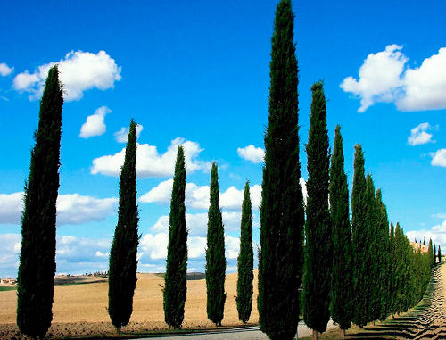 turismo val dorcia