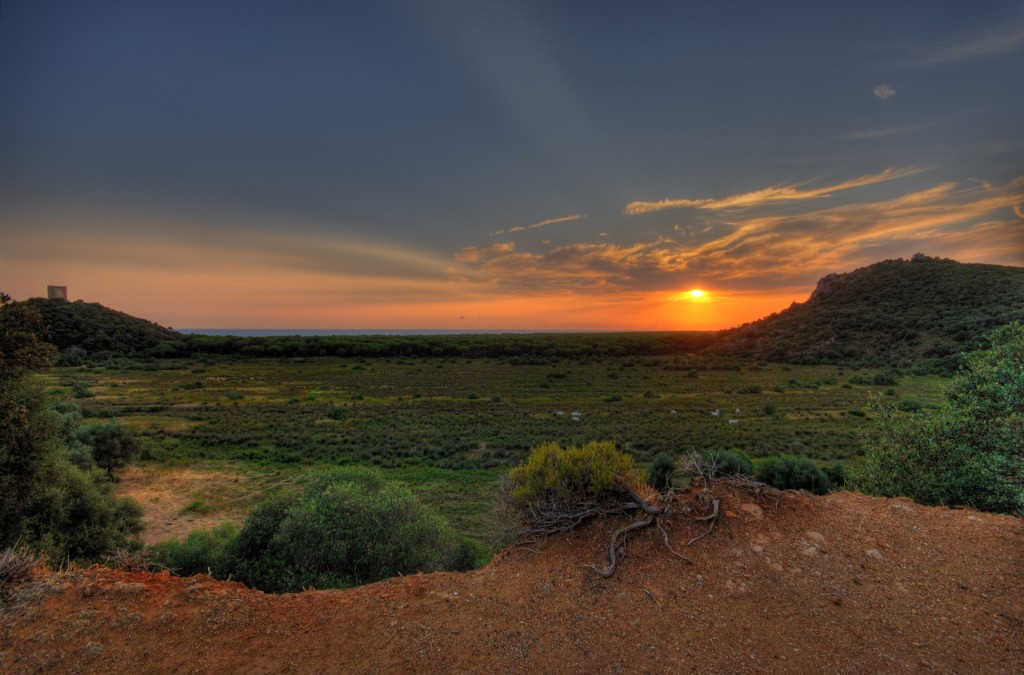 Maremma