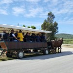 Aspettando Buy Tuscany On the Road - I tour operator stranieri durante l'educational Toscana Vera.