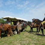 Aspettando Buy Tuscany On the Road - I tour operator stranieri durante l'educational Toscana Vera.