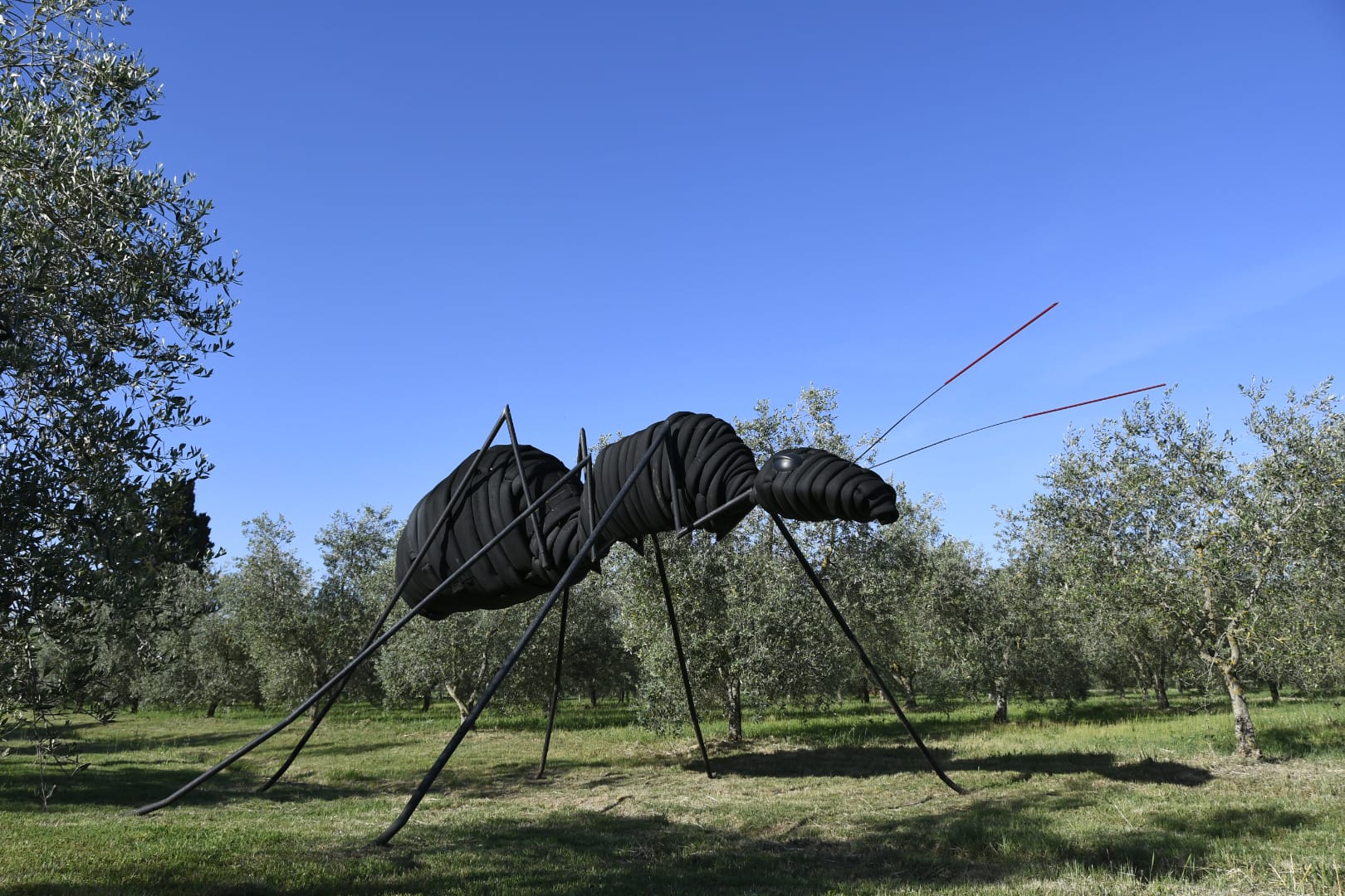 La Toscana ospita la Biennale dello Scarto: a Castiglione della Pescaia e a Grosseto