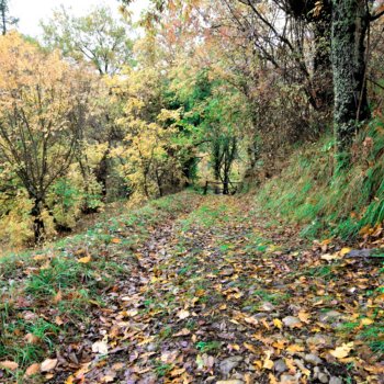 Lunigiana on walking