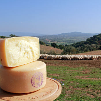 Top Tuscan Foods DOP & IGP Products