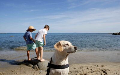 Turismo “pet friendly”: il 22 maggio un webinar informativo per avviare il percorso di costruzione della Carta dei valori e dei servizi per l’accoglienza pet friendly