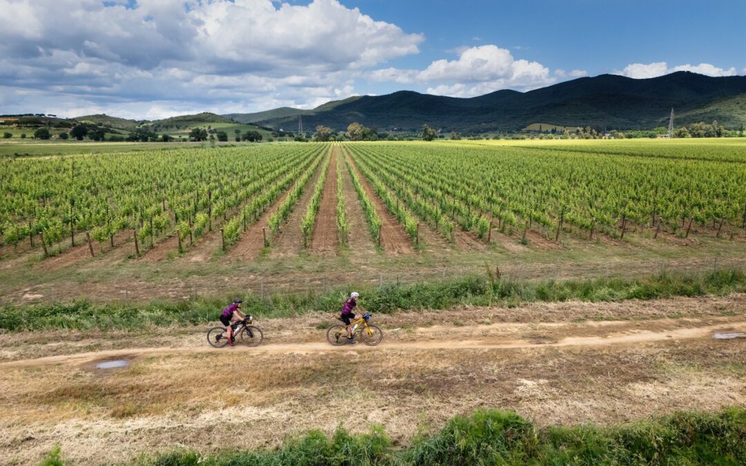 Toscana in bicicletta: tra vigneti e grandi vini
