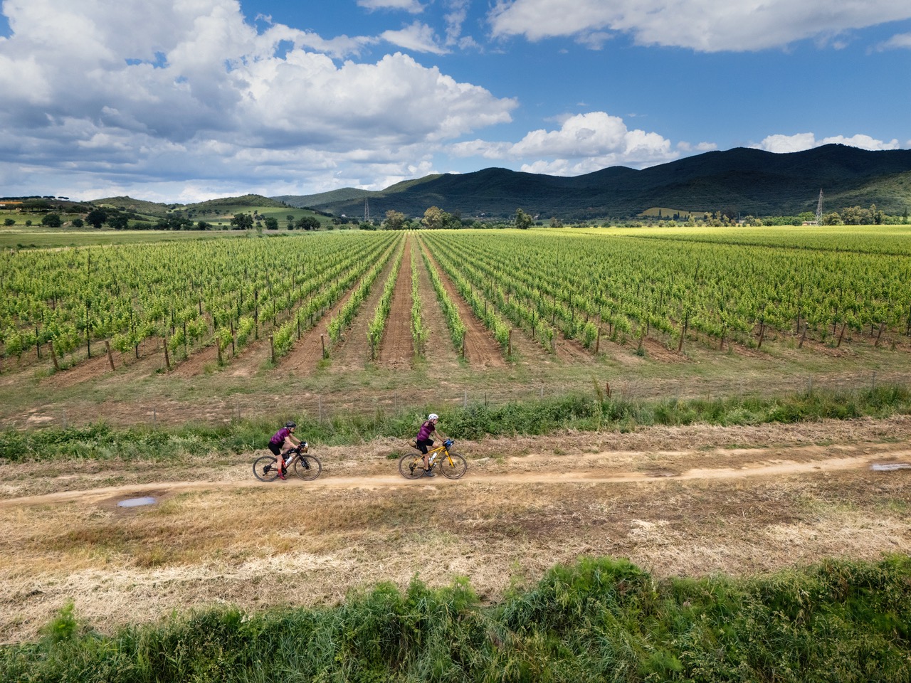 Bici e vigneti – Photo Credits Paolo Ciaberta