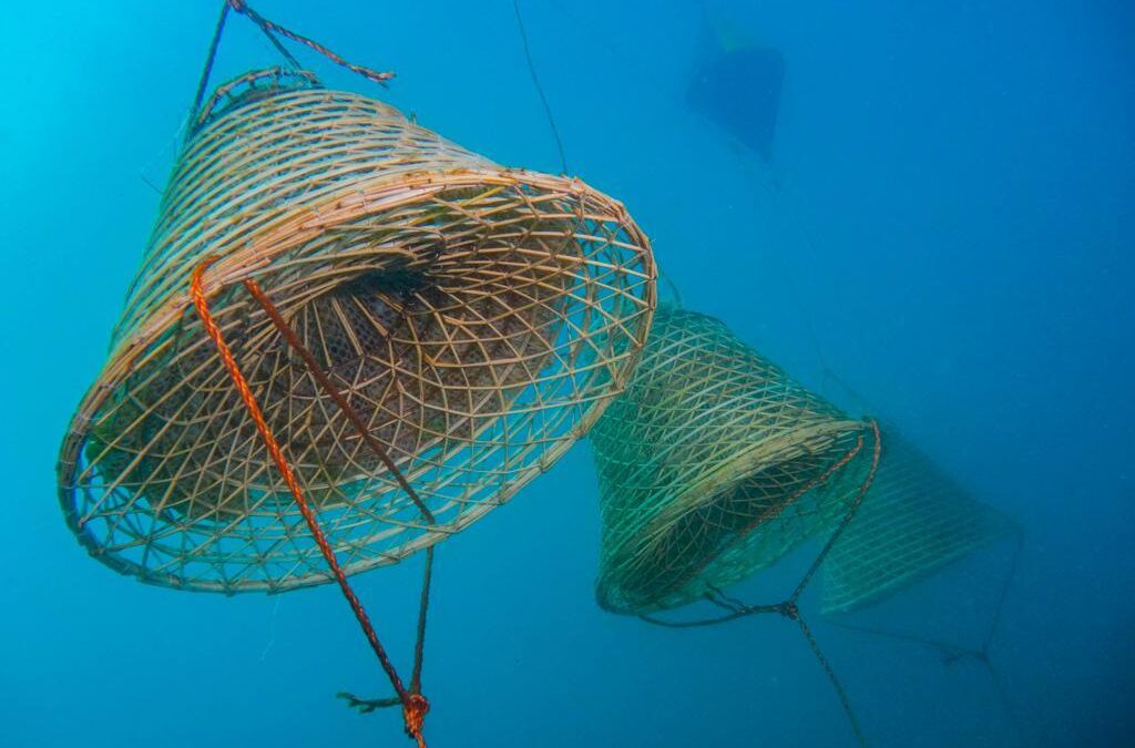 Tra mito e scienza: i vini ispirati dalle scoperte archeologiche