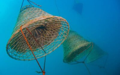 Tra mito e scienza: i vini ispirati dalle scoperte archeologiche