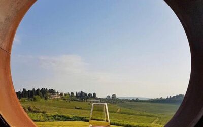 L’arte che impreziosisce le vigne