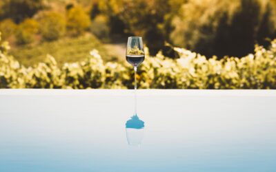 Terre di acque e di vino