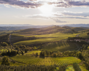 Immagine: Atlas of Wines in Tuscany
