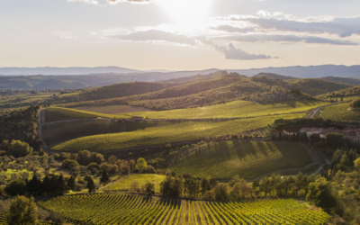 BIT 2026: i protagonisti del territorio. Dodici volti della Toscana in scena a Milano