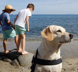Immagine: Carta de valores del turismo con mascotas