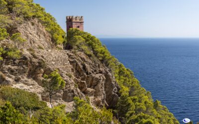 Isola di Gorgona. Natura, storia e un carcere a cielo aperto
