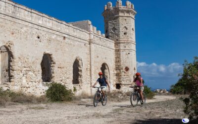 Pianosa: da oggi aperte le prenotazioni online per le partenze primaverili con nave da Piombino