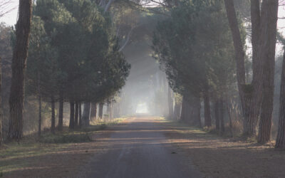 AmbiTour experience, gran finale il 29 aprile nelle Terre di Pisa