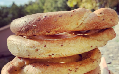 I sapori del vulcano: l’Amiata e i suo tesori enogastronomici