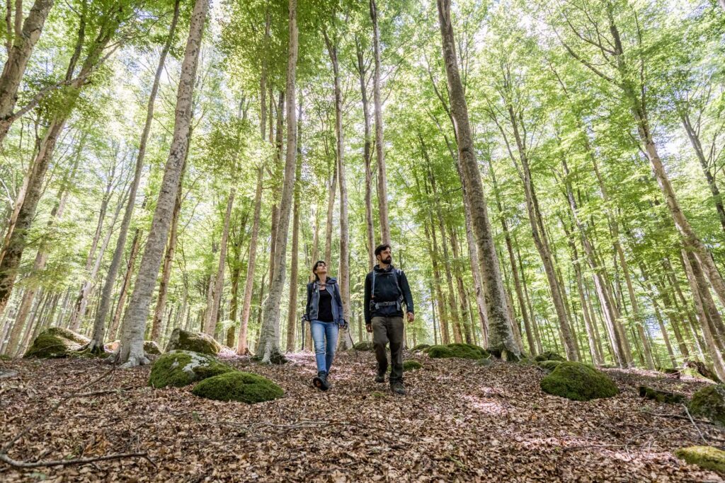 Immagine: Camminare attorno all’antico vulcano del Monte Amiata