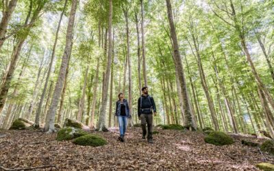 Camminare attorno all’antico vulcano del Monte Amiata