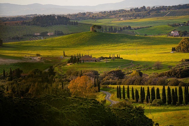 Panorama in Val d'Orcia con morbide colline e filari di cipressi in lontananza