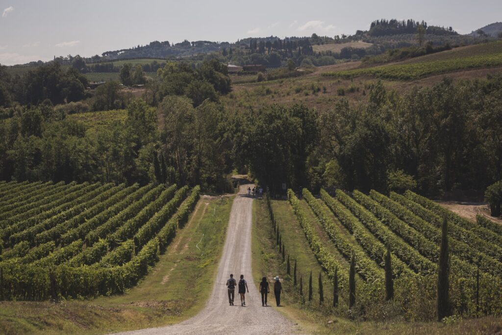 Immagine: Cammini accessibili, territori inclusivi: a Livorno la Toscana rilancia il turismo lento per tutte e tutti