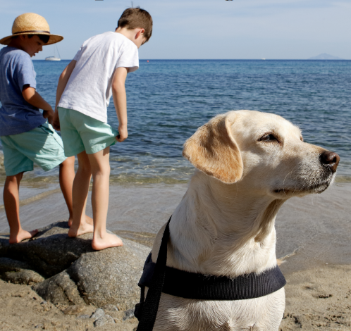 Charter of Values for Pet Tourism