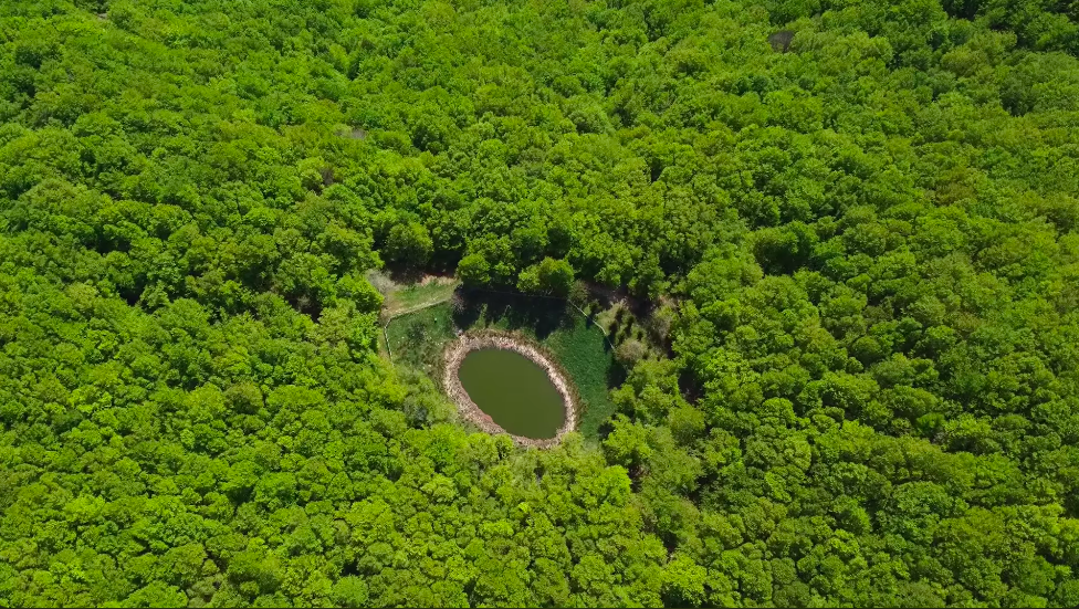 Visione aerea del Lago degli Idoli nel Parco delle Foreste Casentinesi
