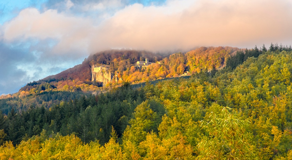 Immagine: Di eremo in eremo, nella stagione più bella del Casentino