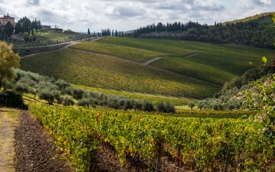 Enoturismo, Toscana al top tra le mete più desiderate dai viaggiatori internazionali